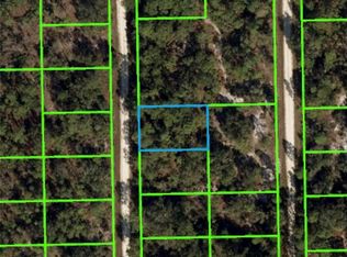 645 Chesley St, Lake Placid, FL 33852