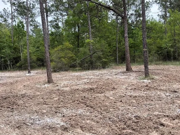 0 Langham Rd, Kountze, TX 77625