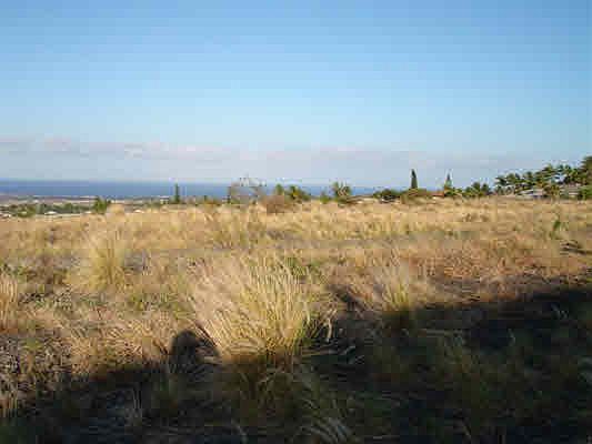 5th image of Wainani St Lot 38