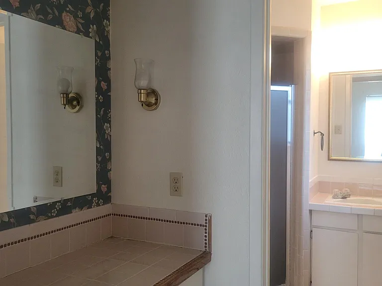 Master bath with shower and vanity
