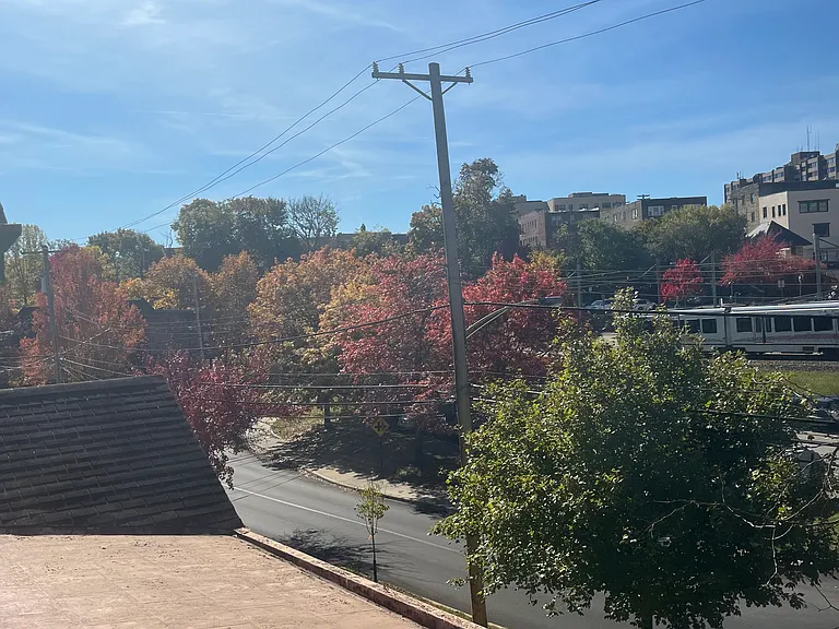 Fall foliage with views of the T!