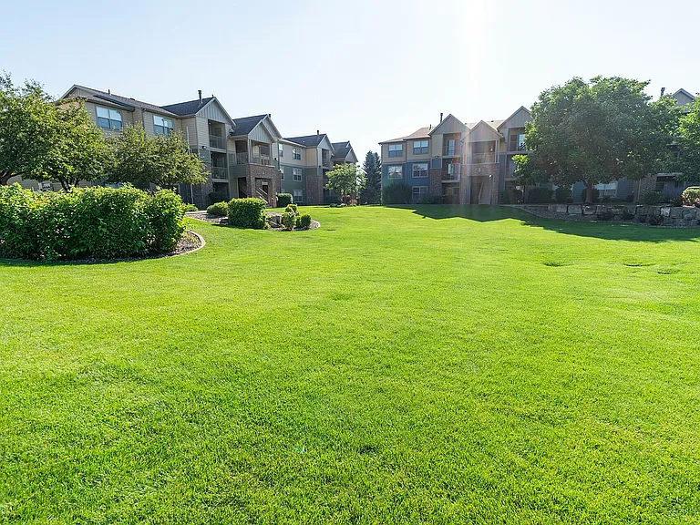 Lawn