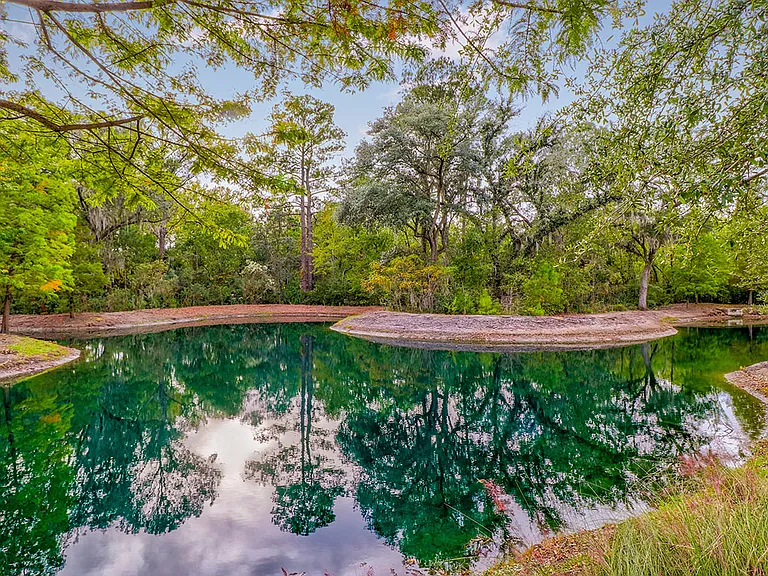 Pond