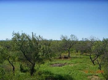 4th image of 719 County Road 5780