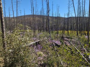 1498 Von Heyl Ln, Fort Garland, CO 81133