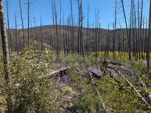 1498 Von Heyl Lane, Fort Garland, CO 81133