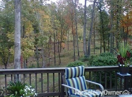 View down into woods and creek in Fall