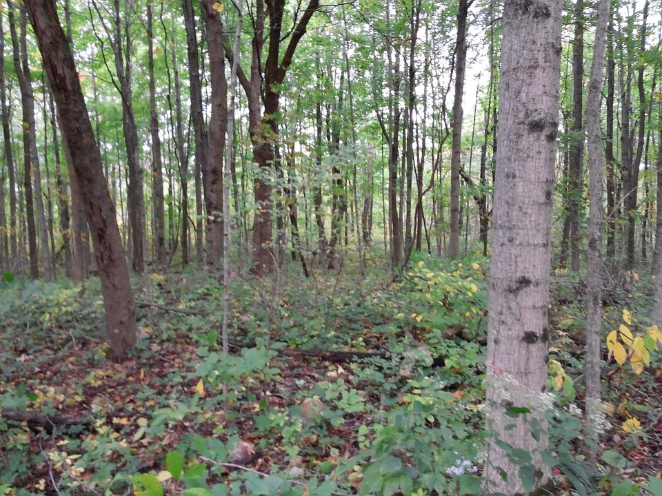 2nd image of 00 Division Rd