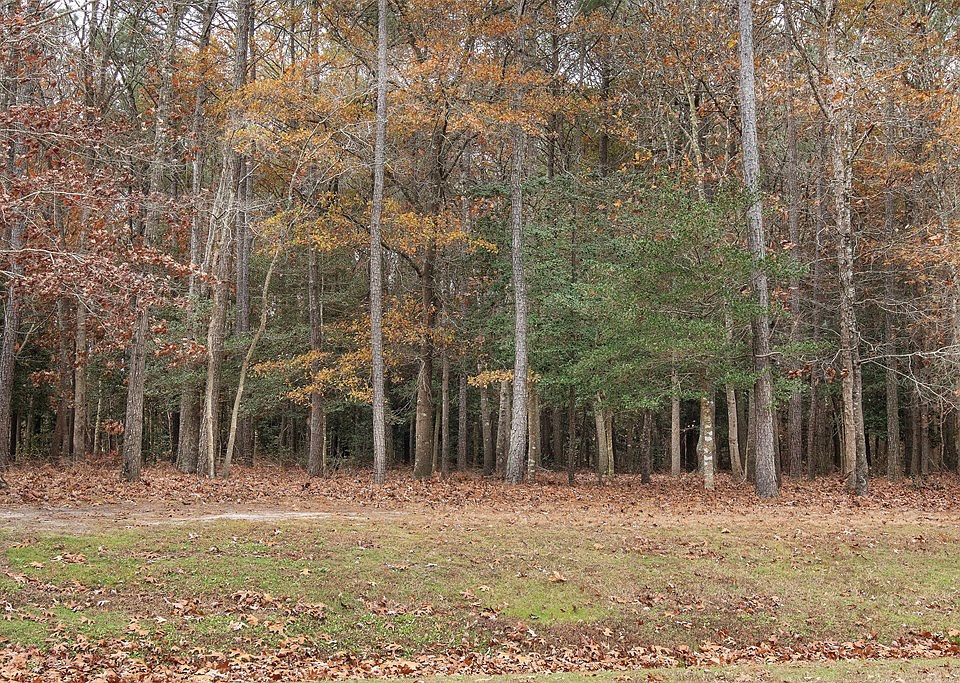 2nd image of 97 Olde Mill Ln