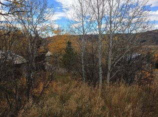 2965 Ski Trail Ln, Steamboat Springs, CO 80487