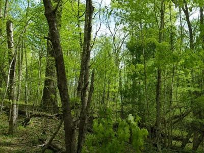 0 Street Place Loop, Monterey, TN, 38574
