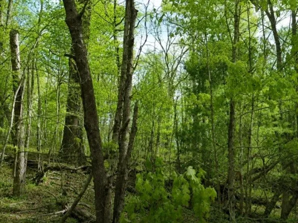 0 Street Place Loop, Monterey, TN 38574