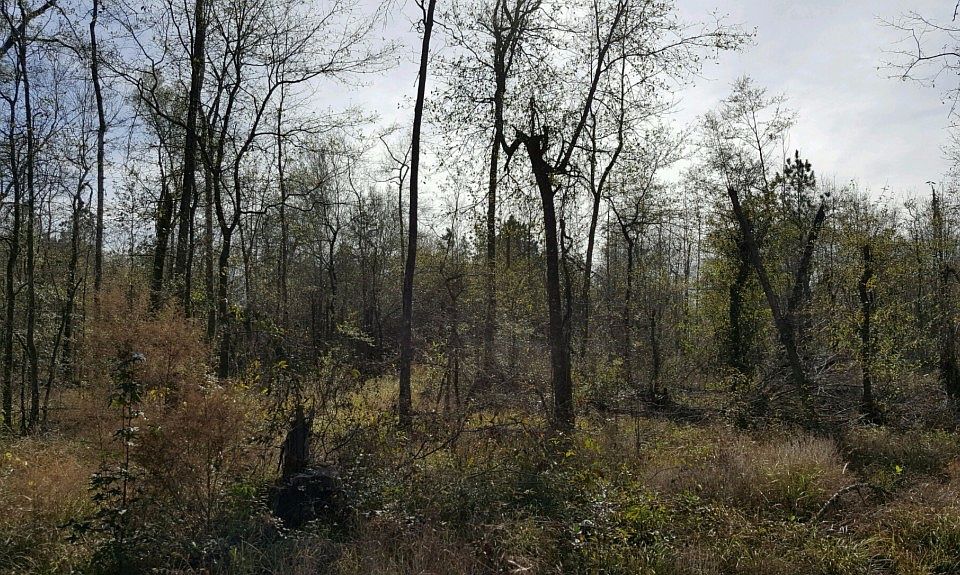 2nd image of 1659 Bahama Dr