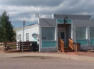 217 W Masonic Ave #4, Cripple Creek, CO 80813