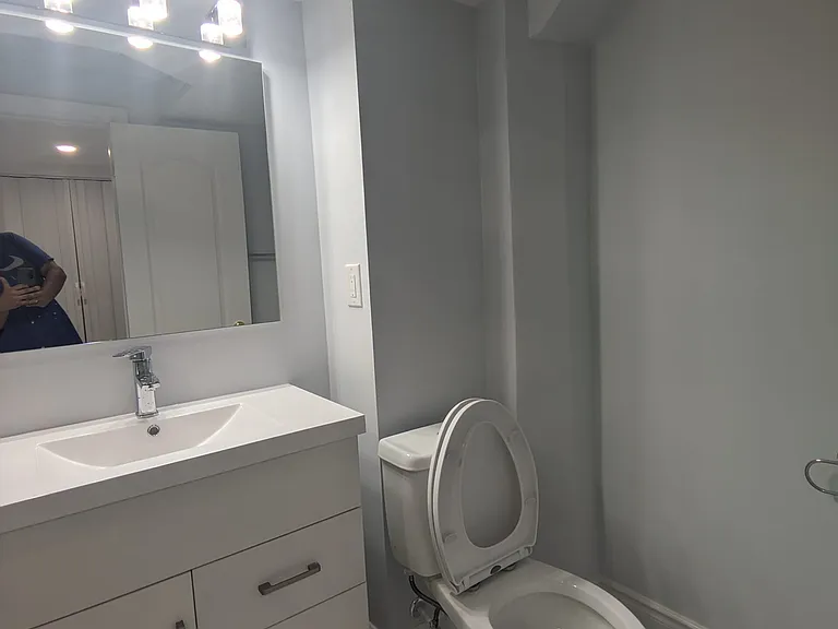 51 Britannia Ave E #LOWER LEVEL — Photo 15