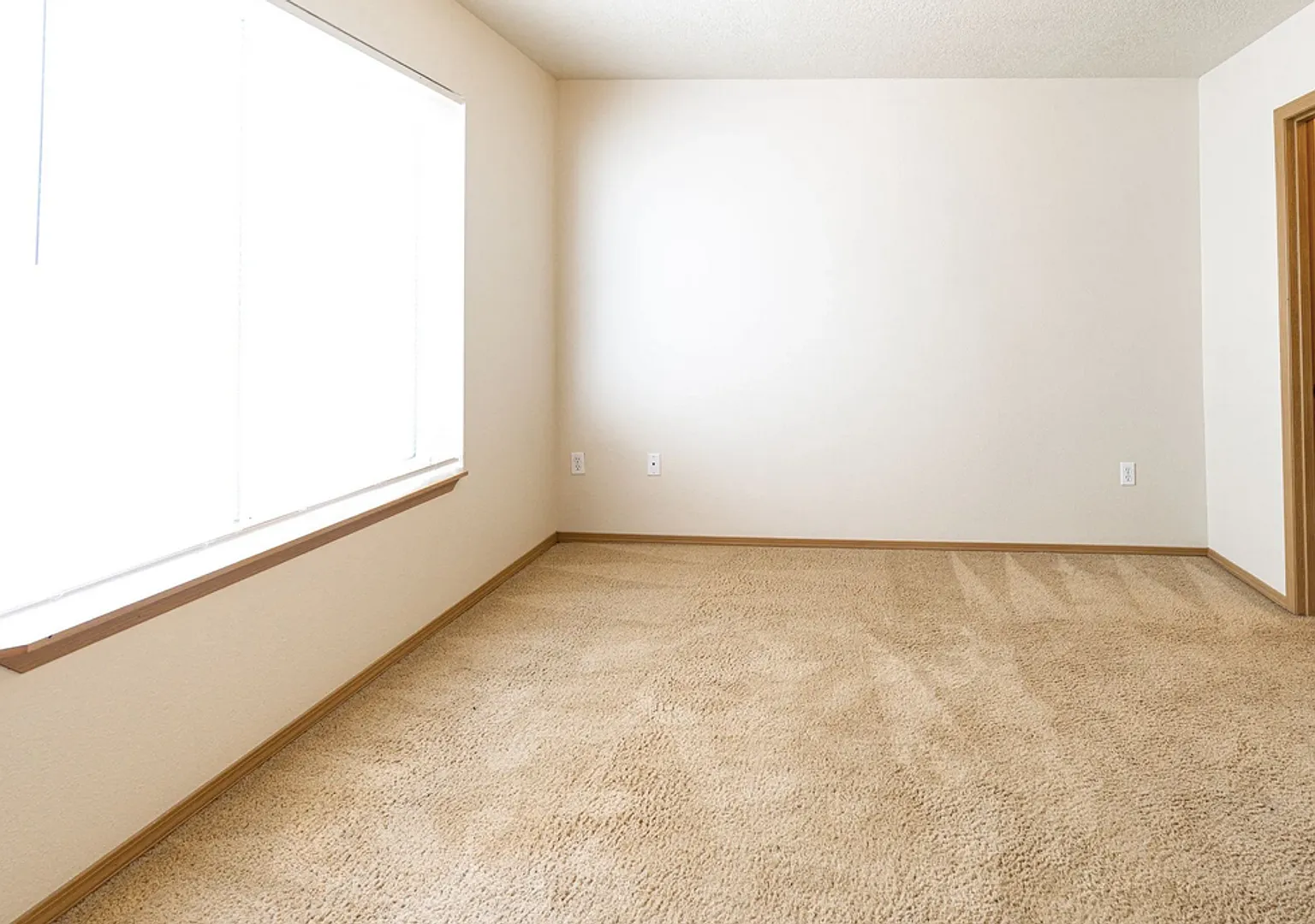 Rare 2 X 1.5 Townhome Availble in October — Photo 4