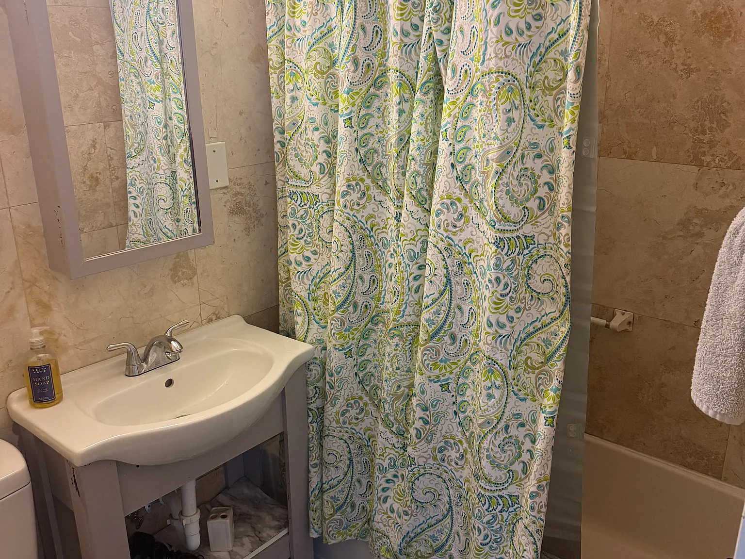 3 bed, 1100 sqft, $2,400 — Photo 4