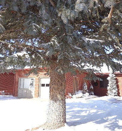 1st image of 3306 Willett Dr