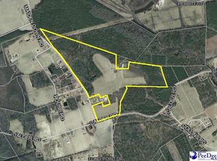 Maidendown Rd, Marion, SC 29571