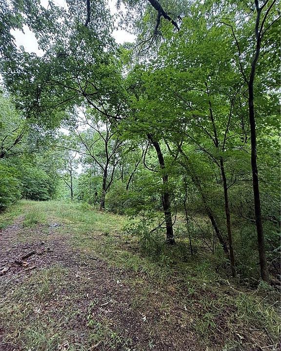 2nd image of 0 Pine Ridge Rd