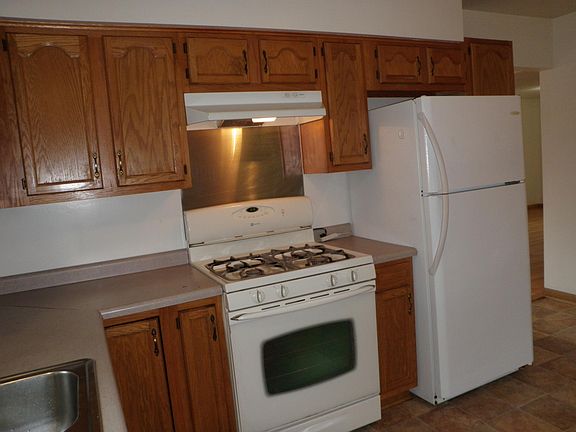 Gas stove, Bosh dishwasher