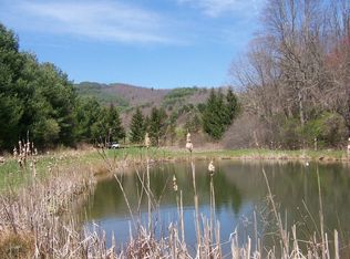 801 Kindreck Rd, Mouth Of Wilson, VA 24363