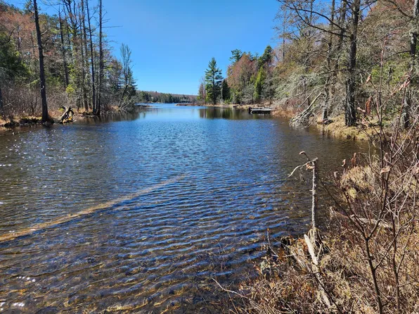 Black Bear Rd Lot 4, Watersmeet, MI 49969
