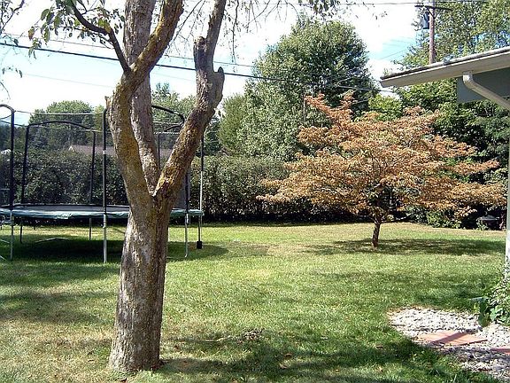 3rd image of 2909 Dina St