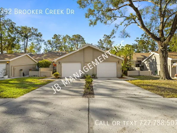 4392 Brooker Creek Dr, Palm Harbor, FL 34685