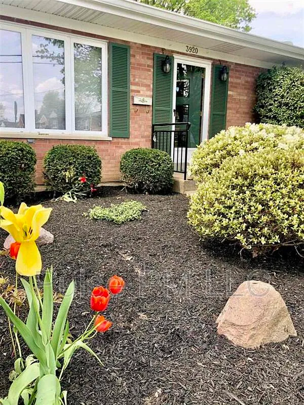 3 bed, 1.5 bath, 1365 sqft, $2,000 — Photo 2