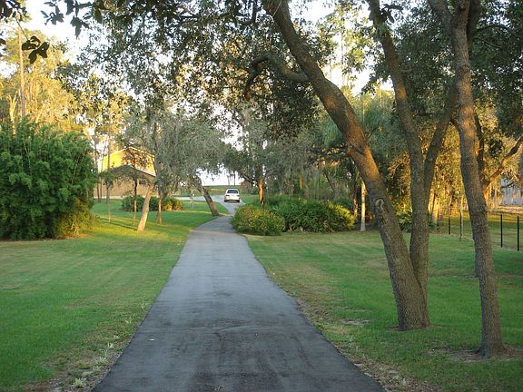 Gorgeous 500ft Driveway