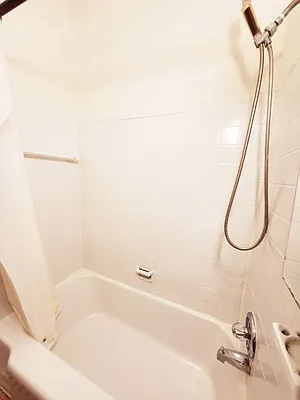 Rented by Furumoto Realty of New York City Inc | media 8