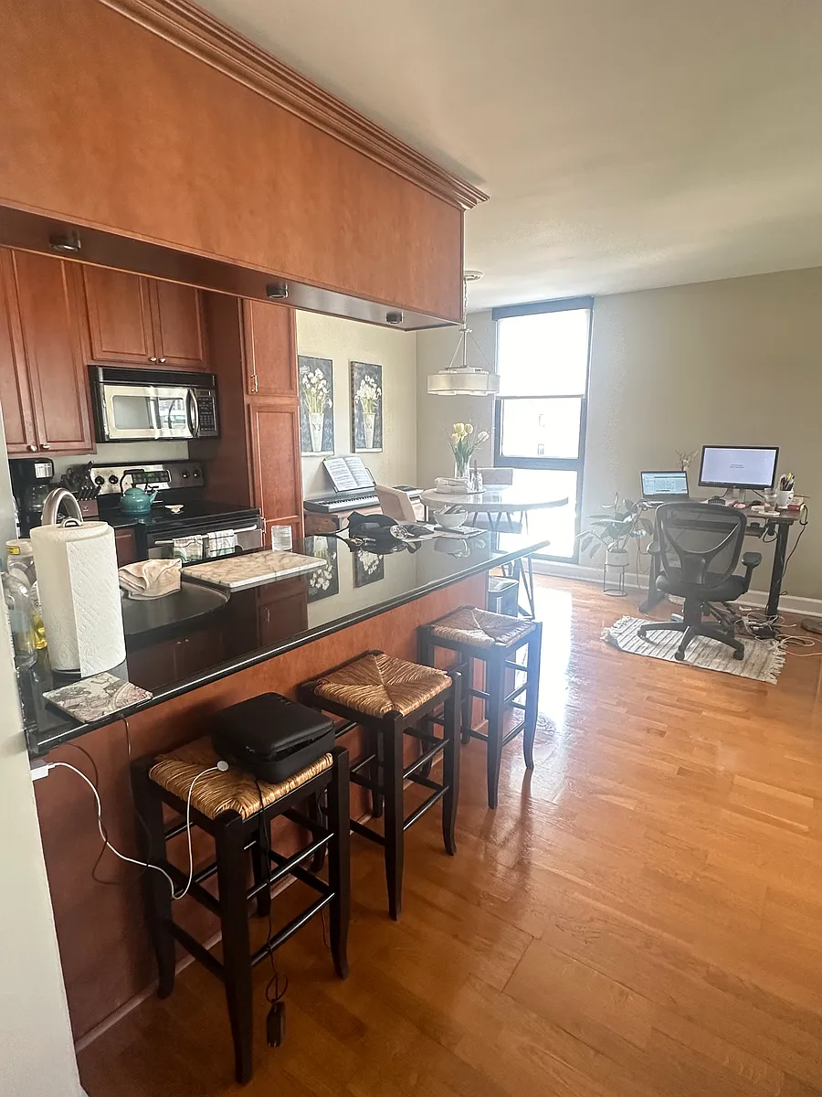 Building Photo - 1540 N Lasalle St #604