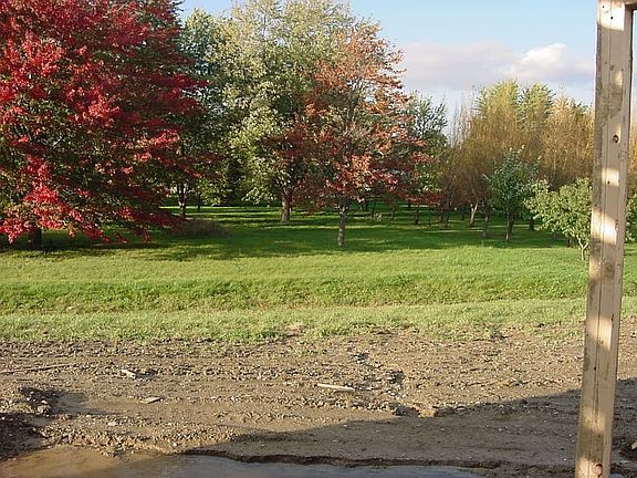 Parklike view in Back!