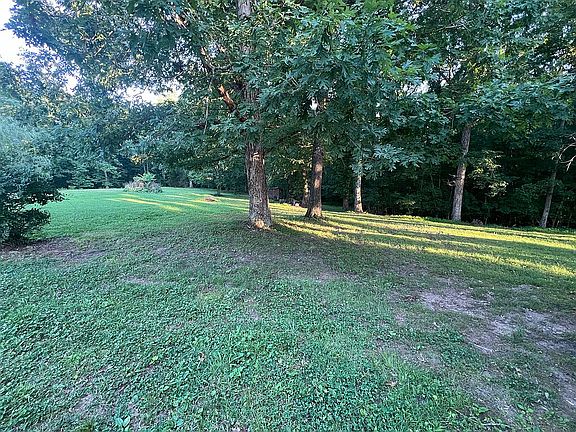 Backyard w chicken coop/shed