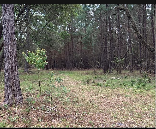 1st image of 18621 NE 108th Pl