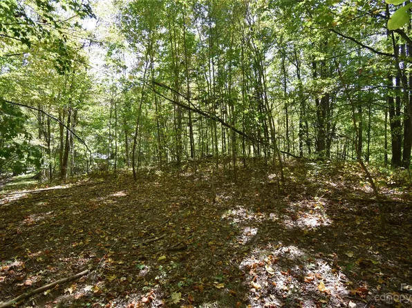 0 Top Drop Ln, Sylva, NC 28779