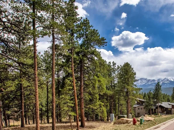 271 Thunder Ridge Dr, Woodland Park, CO 80863