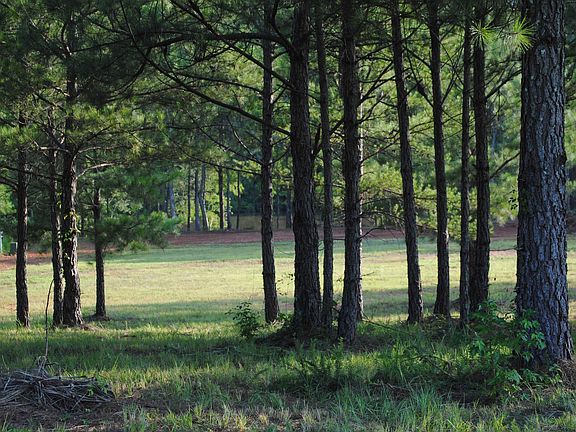 2nd image of County Road 499 #4
