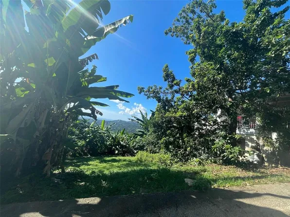 Km .3 Bo Limon Pr #339, Mayaguez, PR 00680