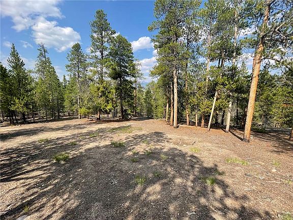 3rd image of 199 Lodgepole Dr