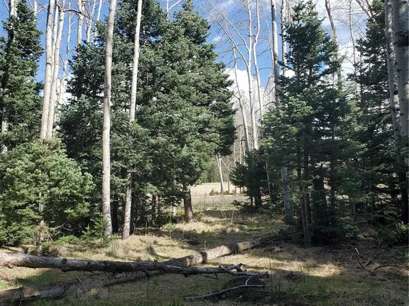 3112 Alvarado Place LOT 3112, Fort Garland, CO 81133