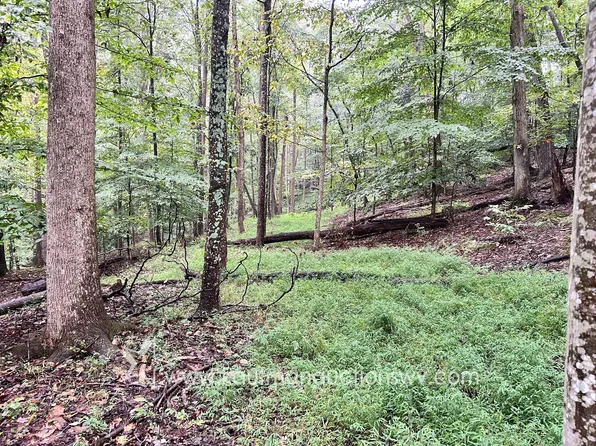 Lexington Dr, Saint Albans, WV 25177