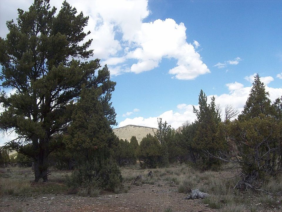 wooded acreage