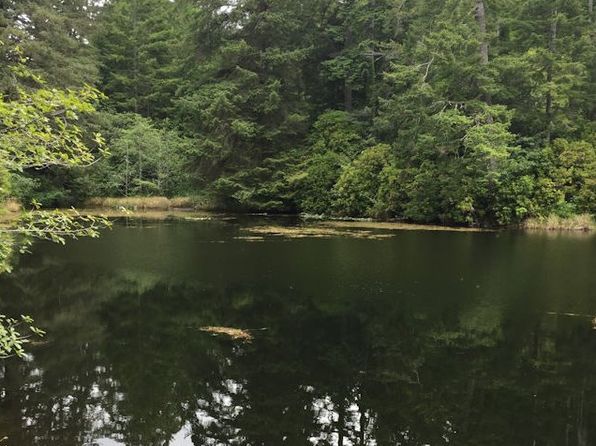 Woahink Lake Dunes City Real Estate 3 Homes For Sale Zillow