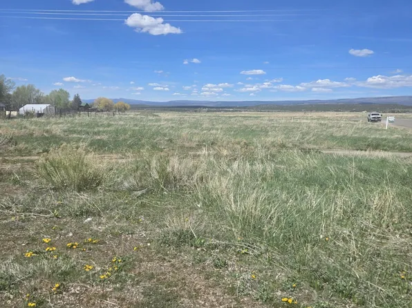 1130 Forest St #4, Norwood, CO 81423