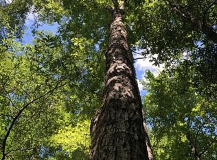 1081 Mount Zion Rd, Evergreen, AL 36401