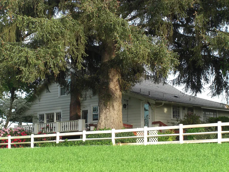 8515 Highway 47 — Photo 21