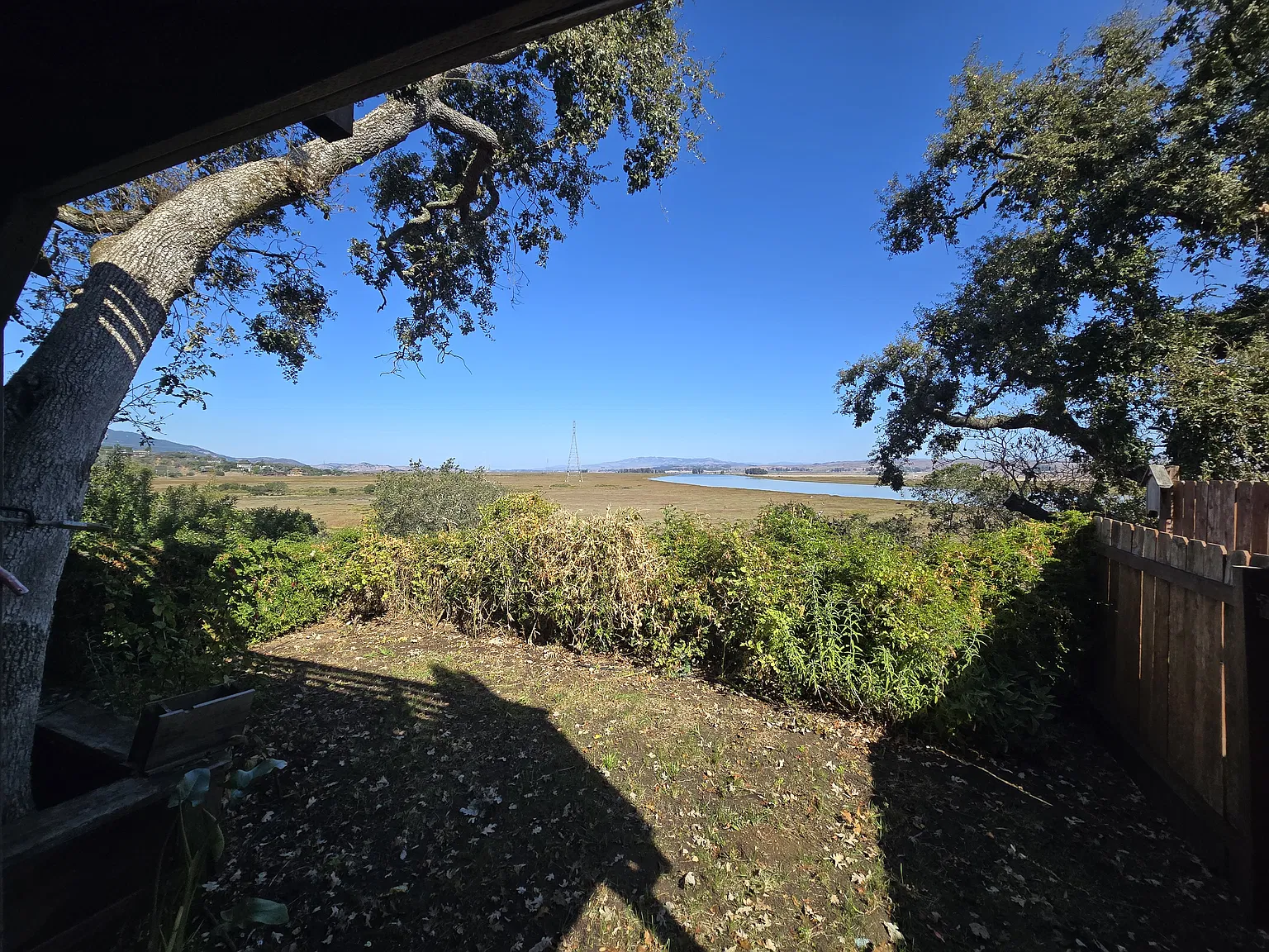 1 bed, 600 sqft, $2,695 — Photo 4