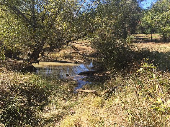 Creek fed by spring